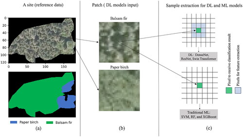 Figure 3. Sample extraction strategy used in this study: (a) Example of a site, (b) Example patches (samples) for DL models, and (c) Sample extraction strategy for DL and ML approaches.
