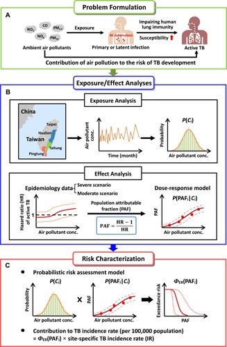 Figure 1 Schematic representation of the probabilistic risk assessment framework used in this study: (A) problem formulation, (B) exposure/effect analyses, and (C) risk characterization (see text for the symbolic meaning).