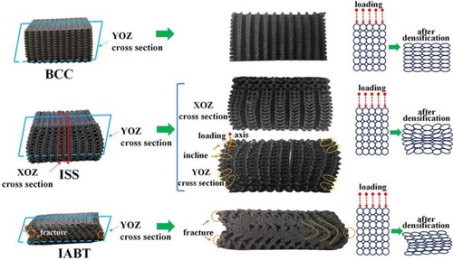 Figure 14. Deformation on cross sections of lattice structures after densification. Cross section configuration of BCC, ISS, and IABT lattice structure after densification.