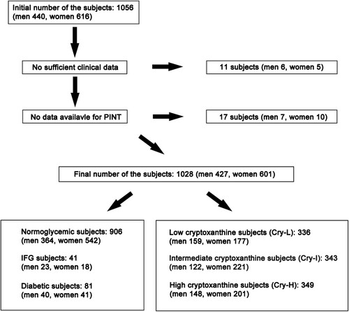 Figure 1. Subject selection. A total of 1,028 participants (427 men and 601 women) out of 1,056 volunteers from the Iwaki Study 2018 were eligible for this study. The participants were further classified into 906 normoglycaemic subjects, 41 impaired fasting glucose (IFG) subjects, and 81 diabetic subjects. Independently, subjects were further divided into 336 low cryptoxanthin subjects (Cry-L), 343 intermediate cryptoxanthin subjects (Cry-I) and 349 high cryptoxanthin subjects (Cry-H) based on the amount of cryptoxanthin intake in the diet.