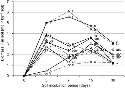 Figure 1. Changes in soil microbial biomass phosphorus (P) of the soil treatments during the soil incubation period. Soil treatments consisted of four compost-amended treatments and a no-compost control (×) with rock phosphate (RP) addition (solid line) or without (broken line). Compost-amended treatments: (□) poultry manure; (○) cattle manure; (△), sewage sludge; (⋄) phosphorus-adjusted sawdust. Statistically homogeneous values of biomass P at each sampling day are marked by same letter (one-way ANOVA, P < 0.05, Fisher's test). Values are mean of three replicates.