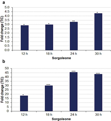 Figure 2. Relative quantification of sorgoleone across the time points, annotated in (a) intracellular and (b) extracellular extracts, synthesized in response to LPS treatment of sorghum cells. The graphs show the relative levels of the metabolite across different time points, expressed as fold changes, and computed from treated against control (C0 h), i.e. T/C, where fold change > 1 represents accumulation. The fold changes represented by * have p < .05, ** p < .005 and *** have p < .0005.