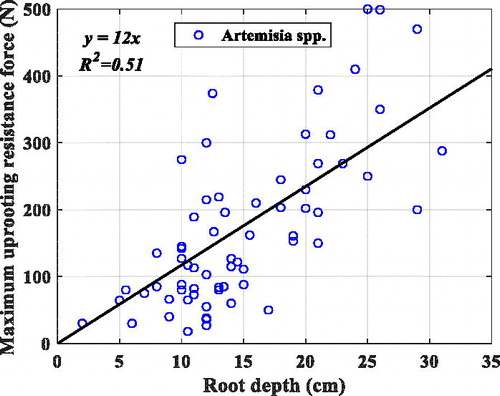 Figure 10. Statistics of Artemisia spp. root depth.