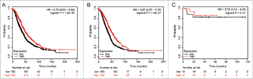 Figure 2. The prognostic effect of the ALDH5A1 mRNA level in OC was got from KM plotter (www.kmplot.com). The desired Affymetrix IDs is valid: 203608_at (ALDH5A1). Survival curves are plotted for all patients (n = 1582) (A), serous cancer patients (n = 1138) (B), endometrioid cancer patients (n = 36) (C).