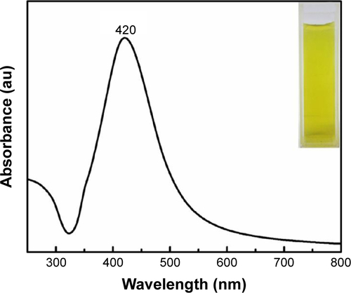 Figure S5 UV-vis absorption spectrum of bare AgNPs.Abbreviations: UV-vis, ultraviolet-visible; AgNPs, silver nanoparticles.