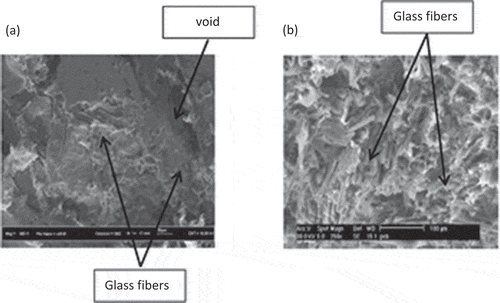 Figure 2. SEM images of the fractured surfaces of rHDPE/PCB specimens with 50 wt% nonmetallic PCB contents. (a) Without compatibilizer; (b) with 6 phr MAPE compatibilizer.