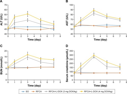 Figure 7 Liver and kidney function markers in the serum of different treatment groups.Notes: Levels of ALT (A), AST (B), BUN (C), and serum creatinine (D) in each treatment group. n=5 per group, data are presented as means ± SD.Abbreviations: BUN, blood urea nitrogen; DOX, doxorubicin; L-DOX, liposomal doxorubicin; RFCA, radiofrequency catheter ablation; SO, sham-operated.