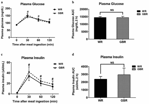 Figure 2. Plasma glucose and insulin after meal ingestion. The plasma glucose (a), the AUC of plasma glucose (b), the plasma insulin (c), and the AUC of plasma insulin (d). Data are expressed as the mean ± SEM. #p < .05 compared to baseline. NS; Not significant difference.