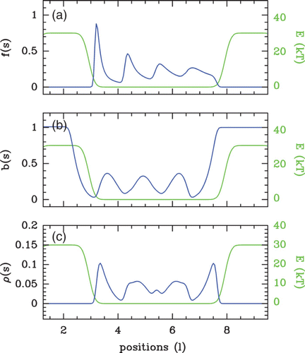 Figure 12. Illustration of the Vanderlick et al. exact solution (blue) of the Percus equation [EquationEquation (16)]. The energy landscape (E(s)) used for the computation is shown in green. (a) f(s) ‘forward’ function; (b) b(s) ‘backward’ function; (c) the resulting density ρ(s)=f(s)b(s). Model parameters: potential wall amplitude=+30 kT, μ=+3 kT.