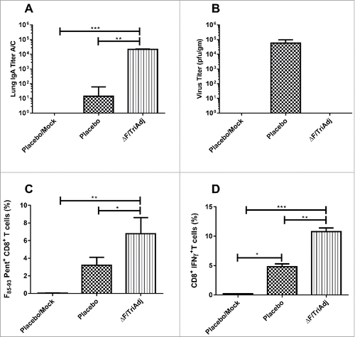 Figure 2. Mucosal immune responses to RSV ΔF protein in mice after challenge with RSV. The IgA titers (A), virus titers (B), percentages of ΔF-specific CD8+ T cells (C), and ΔF-specific IFN-γ secreting CD8+ T cells (D) were measured in the lung after RSV challenge. Mice were immunized and challenged as described in the legend for Fig. 1. ELISA titers are expressed as the reciprocal of the highest dilution resulting in a value of two standard deviations above the negative control serum. Virus replication in the lungs is expressed as pfu per gram of lung tissue. The proportion of RSV F-specific CD8+ T cells was determined in the lung by KYKNAVTEL-MHC I pentamer staining. IFN-γ expression by CD8+ T cells was determined by intracellular cytokine staining. Bars represent median values with interquartile ranges. *P < 0.05; **P < 0.01; ***P < 0.001.