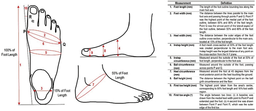 Figure 1. The ten measurements and the definitions used to characterise the shape of each participant’s foot, adapted from (Jurca et al., Citation2019; Mickle et al., Citation2010).