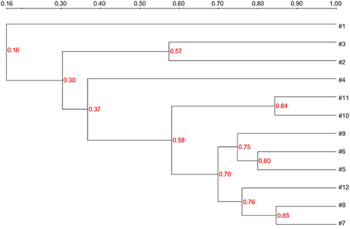 Figure 3 ERIC-PCR dendrogram of all PR-CRKP clinical isolates.