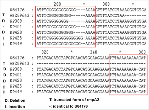 Figure 2. Alignment analysis of rmpA2 sequences. Multiple sequences are compared with reference sequences of GenBank accession numbers S64176 and AB289643. The S64176 defined plasmid rmpA2 gene from the strain K. pneumoniae, Chedid, O1:K2 serotype (http://www.ncbi.nlm.nih.gov/nuccore/S64176). The AB289643 revealed a truncated rmpA2 region and a nucleotide deletion in the poly-G tract of ORF KPP302 from the strain K. pneumoniae NTUH-K2044 (http://www.ncbi.nlm.nih.gov/nuccore/AB289643).