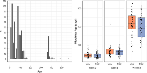 Figure 7. A. Age of sample collection for the samples used to train the Random Forest model. B. Predicted microbiota age for the samples analyzed in this study between treatment (SSC) and control (CAU) per time point.
