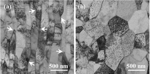 Figure 2. Cross-sectional TEM morphologies of the near-surface layers of (a) the Cr-free and (b) chromized SMRT samples treated at 500°C for 720 min. The SMRT surface is at the left side in both images. Arrows in (a) mark triple junctions (Y-junctions).