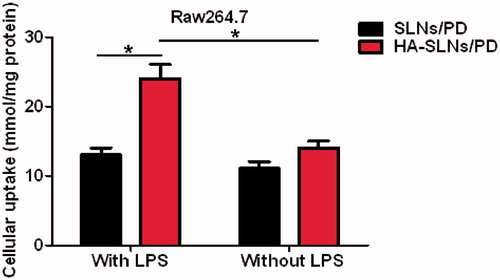Figure 2. HPLC analysis showing uptake of SLNs/PD or HA-SLNs/PD in Raw264.7 cells with or without LPS (100 ng/mL) activation (mean ± SD, n = 3). *p < .05.