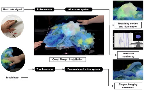 Figure 1. The feedback system of Coral Morph.