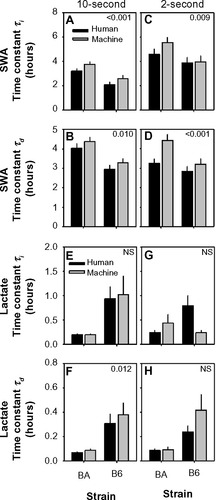 Figure 8 Strain differences in optimal time constants in general homeostatic modeling of state-dependent SWA and lactate dynamics.