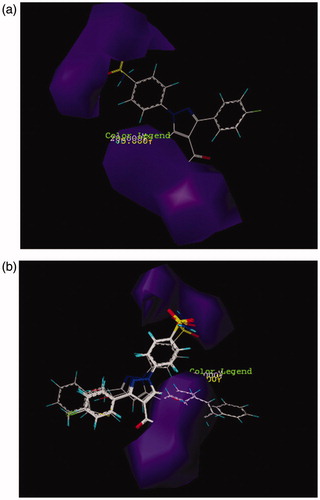 Figure 3. CoMSIA contour maps for the absence and the presence of hydrogen bond donor features based on (a) compound 26 and (b) more active compound than AZA.