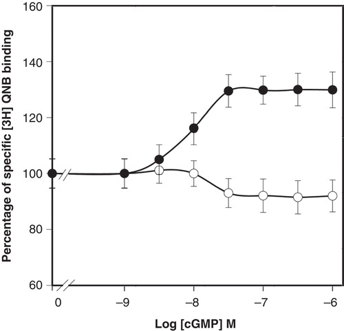 Figure 4. Effect of cGMP on the [3H]QNB binding in Control plasma membranes and 4-DAMP mustard-alkylated plasma membranes. The [3H]QNB binding curves were perrformed as described in Methods for both native membranes (•) and 4-DAMP mustard-alkylated membranes (○) in the presence of 5 mM ATP, 5 mM MgCl2 and increasing cGMP concentrations are indicated. Specific [3H]QNB binding is expressed as percentage of binding in the absence of nucleotides. Binding experiments were carried out at 1,500 pM [3H]QNB and 2–4 µg of membrane proteins were assayed at 37°C. The total binding activity was 1,570 ± 170 fmoles/mg protein in Control membranes and 549 ± 20 fmoles/mg protein in 4-DAMP mustard alkylated-membranes. Each point represents the mean ± SE of four different membrane preparations assayed in triplicate.