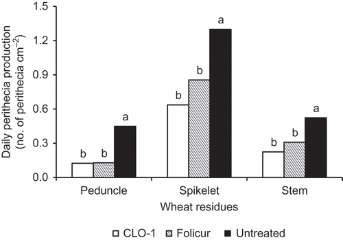 Fig. 5. Effects of autumn application of CLO-1 biofungicide on daily perithecial production of Gibberella zeae on wheat residues compared with Folicur fungicide and untreated control under field conditions in the following spring and summer. Data are mean of 2 years. Means with the same letter for each wheat residue type are not significantly different according to Fisher’s Least Significant Difference test at P = 0.05 (LSD).