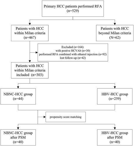 Figure 1. The flow chart of the study. HCC: hepatocellular carcinoma; RFA: radiofrequency ablation; NBNC-HCC: non-B non-C hepatocellular carcinoma; HBV-HCC: hepatitis B virus (HBV)-related hepatocellular carcinoma; PSM: propensity score matching.