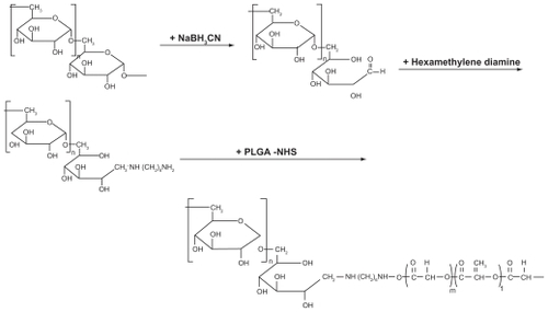 Figure 1 Synthesis schema for dextran and poly(DL-lactide-co-glycolide) block copolymer.