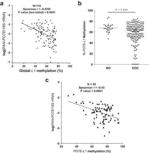 Figure 2. Pan-POTE expression is associated with LINE-1 (L1) DNA hypomethylation in EOC. (a) Pan-POTE RNA vs. global L1 methylation in primary EOC. (b) POTE (GHM) L1 methylation in NO and primary EOC. (c) Pan-POTE RNA vs. POTE (GHM) L1 in primary EOC. Panels A & C show Spearman correlation test results, and panel B shows two-tailed Mann-Whitney test results.