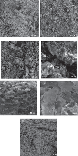 Figure 1. Showing the scanning electron image of reinforcements used for the production of the composite (a) A1 (b) B1 (c) C1 (d) A (e) B (f) D and (g) conventional SiC used for the development of D1