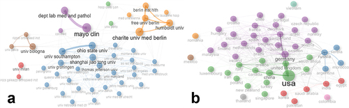 Figure 4 The clustered collaboration network map of the most productive institutions and countries of orthopedic biofilm research. (a) the most productive institutions and (b) the most productive countries.