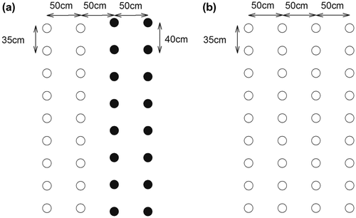 Figure 1. Planting arrangements of relay strip intercropping (a) and sole cropping (b). Explanation: open circles (○) and closed circles (●) represent soya bean and maize holes, respectively. Each hole contained 2 plants.