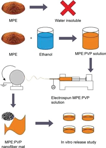 Figure 2 Schematic illustration of the experiment.Notes: α-Mangostin is poorly soluble in aqueous environment. Precursor solution was prepared by mixing MPE with PVP solution. The precursor solution was electrospun into fiber mat. Finally, in vitro evaluation and characterization were performed to predict the pharmacological effect in vivo.Abbreviations: MPE, mangosteen pericarp extract; PVP, polyvinylpyrrolidone.