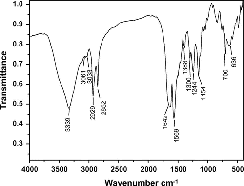 Figure 9. IR spectrum of polymer 6b.