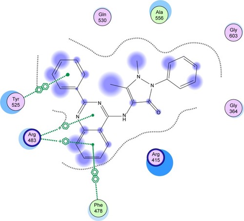 Figure 6 Interactions of compound 9 with the Kelch domain amino acids of Keap1.