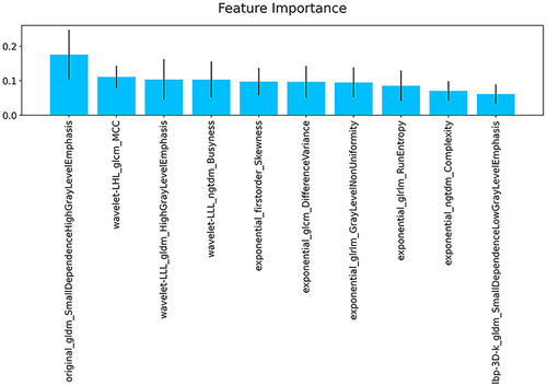 Figure 3 Ten features were used to establish the radiomic features.