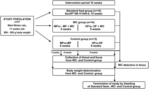 Figure 1 Feeding scheme.