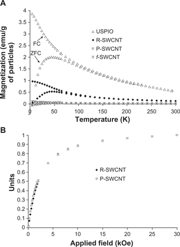 Figure 2 Superconducting quantum interference device magnetization measurements. A) Temperature dependence of zero-field-cooled and field-cooled measurements, recorded at a magnetic field of 50 Oe for raw, purified, and functionalized SWCNT compared with USPIO nanoparticles. B) Normalized field dependence magnetization of raw and purified SWCNT recorded at room temperature (300 K).Abbreviations: R, raw; P, purified; f, functionalized; SWCNT, single-walled carbon nanotubes; USPIO, ultrasmall supermagnetic iron oxide.