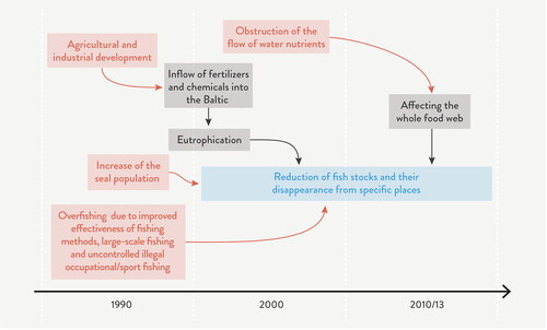 Figure 6. Ecosystem dynamics described by CF1 (age 39).