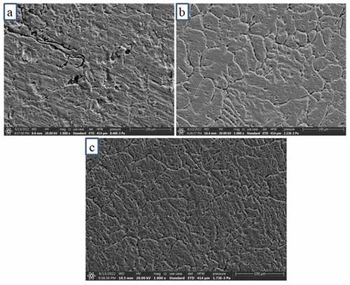Figure 6. Scanning electron microscope images of (a) Sample a (b) Sample B (c) Sample C.