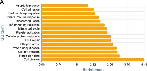 Figure 3 Gene Ontology and pathway analysis. (A) Top 15 highly enriched GO terms. (B) Top 15 highest degree pathways.