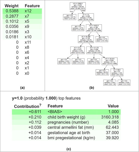 Figure 10. ELI5 plots: (a) the features and weight assigned to individual features for building a tree [features x0, x1, x2, x3, x4, x5, x6, x7, x8, x9, x10, x11 and x12 corresponds to age (years), ethnicity, diabetes mellitus, mean diastolic BP (mmHg), mean systolic bp (mmHg), central armellini fat (mm), current gestational age, pregnancies (number), first fasting glucose (mg/dl), BMI pregestational (kg/m), gestational age at birth, type of delivery and child’s birthweight (g), respectively]; (b) a decision tree with multiple conditional nodes split based on Gini index and, (c) a local prediction for a single patient that has been predicted GDM-positive.