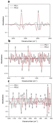 Fig. 6 (Colour online)  Loadings plot (PC1 & PC2) of epidermal cells of barley leaves based on sFTIR spectra for both lipids (a) and fingerprint (b & c) regions. Each point in the plot represents the projection of a spectrum in the PC1–PC2 space.