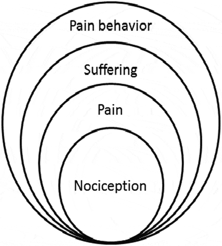 Figure 1. Depiction of pain multimodality according to Loeser. Adapted with permission from: Loeser JD. Pain and suffering. Clin J Pain 2000; 16(2 Suppl): p. S2-6.