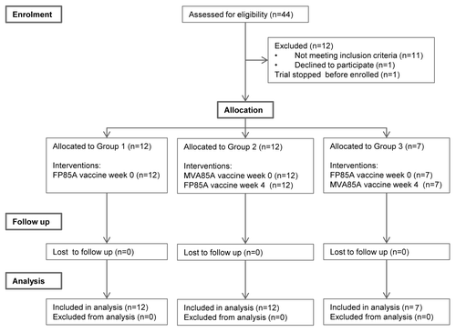 Figure 1. CONSORT flow diagram. Figure 1 shows the flow of subjects through the trial. Subjects were not randomized, but allocated sequentially into Group 1, then Group 2, then Group 3, in order of enrolment. All enrolled subjects completed follow up.