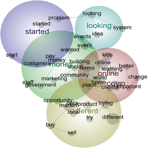 Figure 1. Leximancer themes from interviews with entrepreneurs.