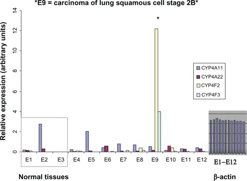 Figure 5 Expression of CYP4A and CYP4F genes at the mRNA level is elevated in human lung cancer tissue samples.