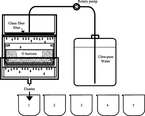 Figure 2  Schematic diagram of the sequential elution device where the elution of water-soluble organic matter (WSOM) for 1 h was repeated five times with intervals of 1 h.