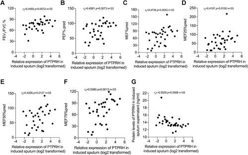 Figure 4 PTPRH mRNA levels of induced sputum cells in asthma subjects were associated with pulmonary function parameters. Spearman’s rank order correlation assay between transcript levels of PTPRH in sputum cells of subjects with asthma and pulmonary function parameters (n = 33): (A) FEV1/FVC, (B) PEF% pred, (C) MEF% pred, (D) MEF25% pred, (E) MEF50% pred, (F) MEF75% pred. (G) The transcript levels of PTPRH in sputum cells correlate with the protein levels of PTPRH in sputum supernatant.