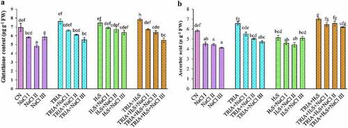 Figure 5. Effect of TRIA and H2S on glutathione (a) and ascorbic acid (b) content in B. juncea plants under salinity. Each number represents the mean of three replicates for each treatment level, as well as the standard error of the mean (SEM). Means inside a column separated by a distinct letter differ substantially at <p 0.05. CN- control; TRIA- Triacontanol; H2S- Hydrogen Sulfide; NaCl I- 50 mM; NaCl II- 100 mM; NaCl III- 150 mM.