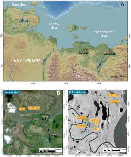 Figure 1. Position of the study areas (A), marked by red stars: Kytalyk in the Indigirka Lowland and Pokhodsk in the Kolyma Delta. DEM compiled by G. Grosse (AWI Potsdam). Position of the studied polygons at the Kytalyk site (B) and at the Pokhodsk site (C). Satellite maps compiled by S. Laboor (AWI Potsdam)